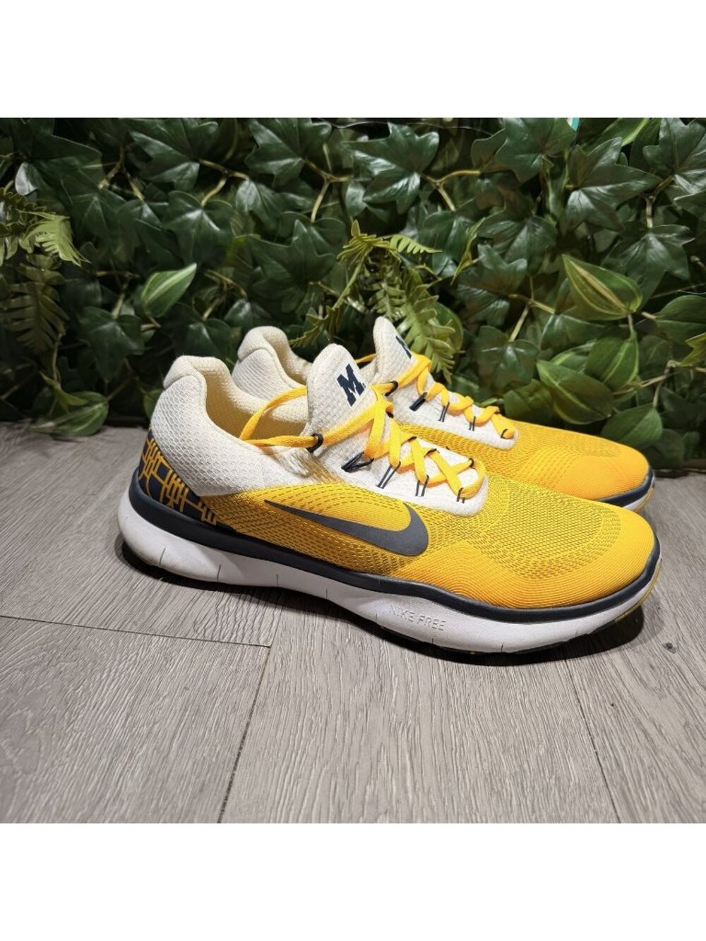 NIKE Free Men’s Michigan Wolverine’s Running Shoes 12.5 Blue Gold AA0881-700